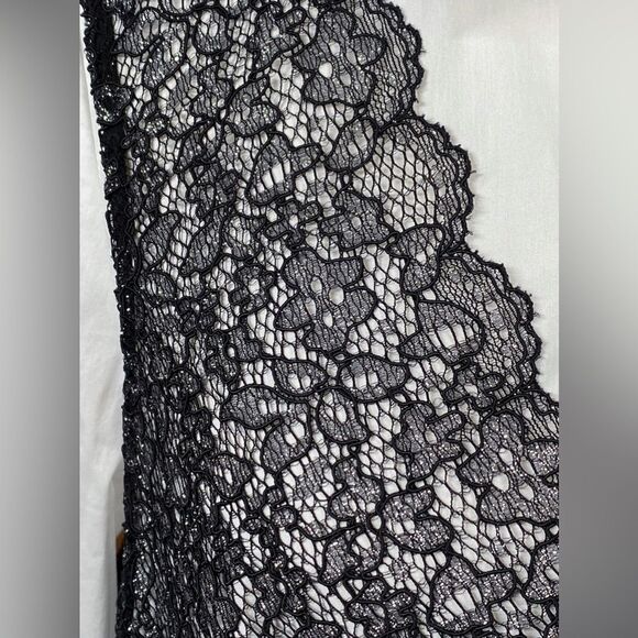 Cinq à Sept Catilina Lace Overlay Dress size L - Picture 13 of 15